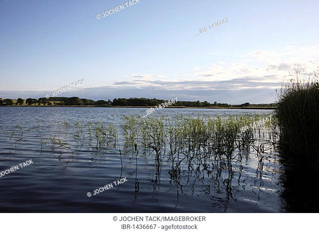 Selliner See lake in Sellin, Ruegen island, Mecklenburg-Western Pomerania, Germany, Europe