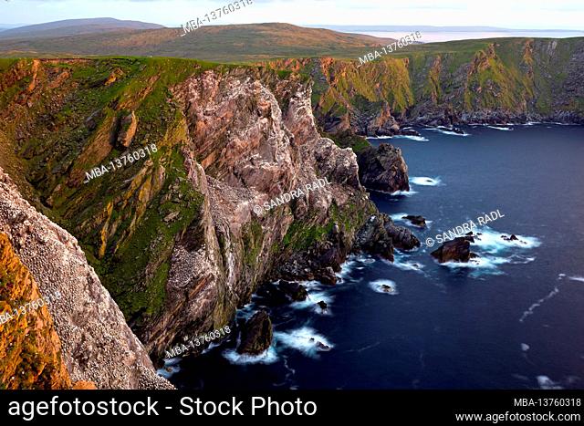 Steep coast in the nature reserve Hermaness in the evening light, Isle of Unst, Scotland, Shetland Islands