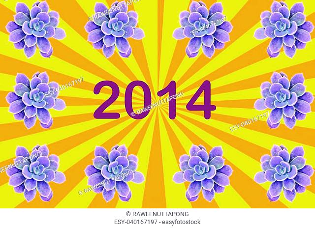 Violet flowering cactus write 2014
