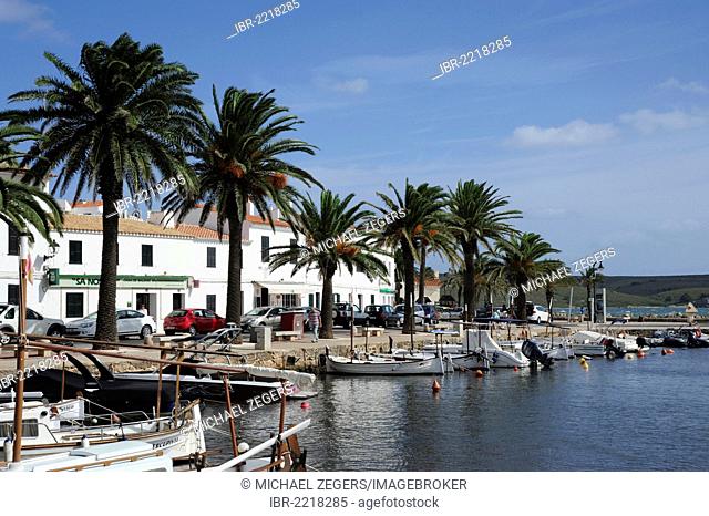Fishing boats and palm trees in the harbour of Fornells, Minorca, Menorca, Balearic Islands, Mediterranean Sea, Spain, Europe