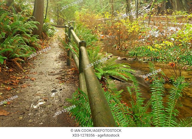 Beaver Creek and Beaver Lake Trail, Stanley Park, Vancouver, British Columbia, Canada