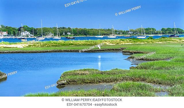 Great White Egret Marsh Padanaram Village Harbor Sailboats Buzzards Bay Dartmouth Masschusetts