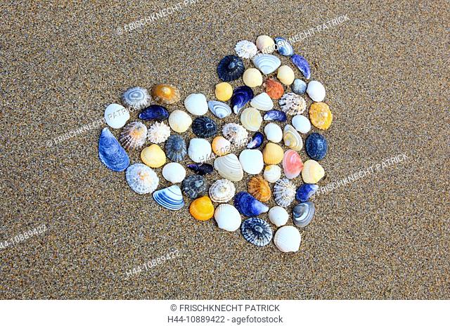 Detail, Before, form, shape, body of water, Great Britain, heart, heart form, wedding, coast, love, macro, sea, mussel, mussels, patterns, samples, close-up
