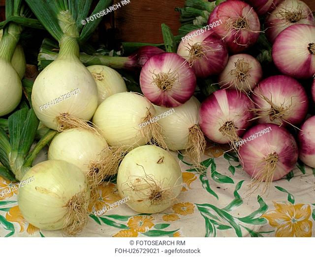 Montpelier, VT, Vermont, Farmer's Market, Onions