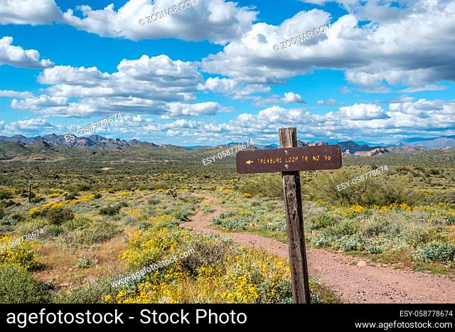 Lost Dutchman SP, AZ, USA - March 14, 2020: The Treasure Loop Mountain Trail
