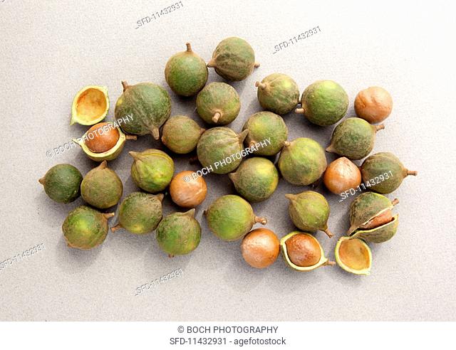 Unshelled macadamia nuts seen from above
