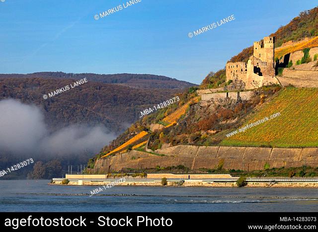 View over the Bingener Loch to the Ehrenfels castle ruin, Upper Middle Rhine Valley, Rhineland-Palatinate, Germany