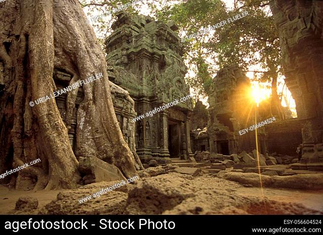 The Temple of Ta Prohm in the Temple City of Angkor near the City of Siem Reap in the west of Cambodia. Cambodia, Siem Reap, February, 2001
