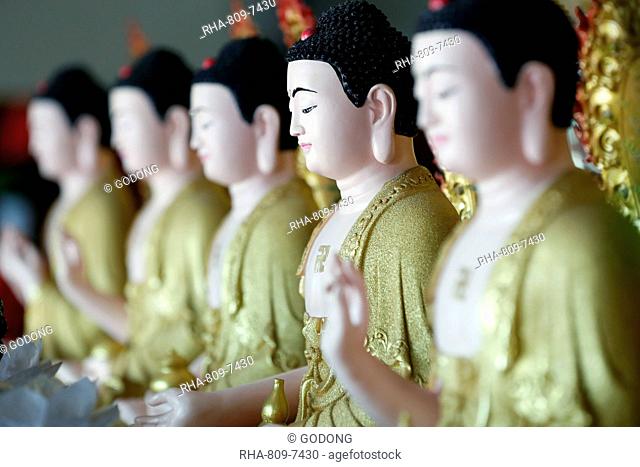 Row of Buddha statues, Hoi Tuong Te Nguoi Hoa Buddhist Chinese temple, Phu Quoc, Vietnam, Indochina, Southeast Asia, Asia