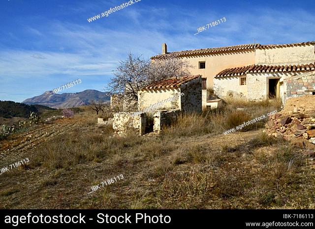 Abandoned finca with view to the mountain La Muela, old house in mountainous landscape, hilly landscape, Velez Rubio, Almeria, Andalucia, Spain, Europe