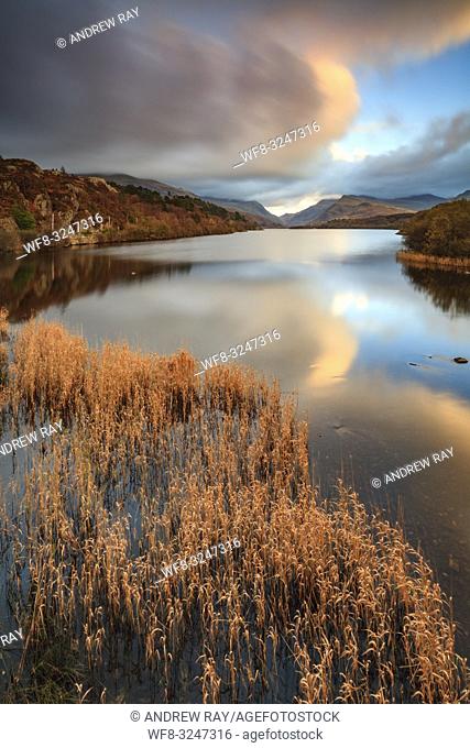 Reeds captured at sunset from the Pont Pen-y-Llyn bridge at the north-western end of Llyn Padarn in the Snowdonia National Park in Wales
