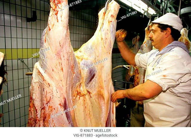 DEU, GERMANY, Rinderschlachtung im Schlachthof Th¿nes in Nordrhein-Westfalen | DEU, Germany, cattle slaughter in the slaughterhouse Th¿nes in North-Rhine/...