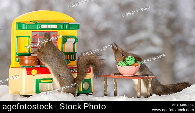 close up of two red squirrels standing with a kitchen and behind a table with plate and vegetables