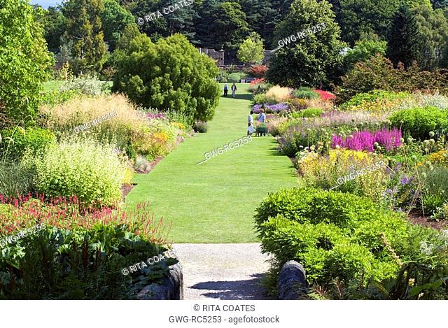 THE HERBACEOUS BORDERS AT HARLOW CARR GARDENS IN MID-SUMMER
