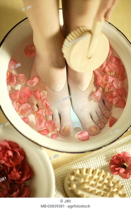Woman, detail, feet, footbath,  Massage brush, rose blooms,   Series, legs, nakedfoot, water bowl, bowl, water, roses, petals, personal hygiene, chiropody