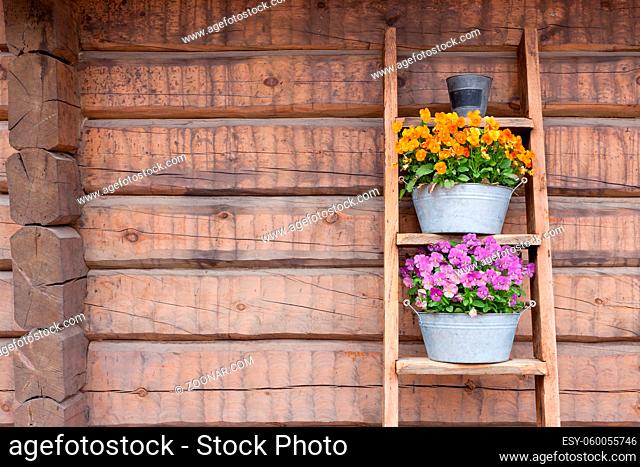 Flowers on ladder shelf lean to wooden wall outside