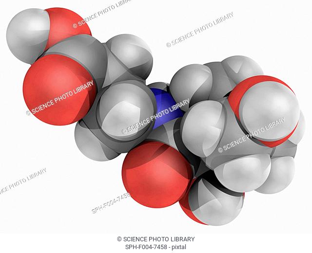 Vitamin B5 pantothenic acid, molecular model. Vitamin required for synthesizing coenzyme-A. Atoms are represented as spheres and are colour-coded: carbon grey