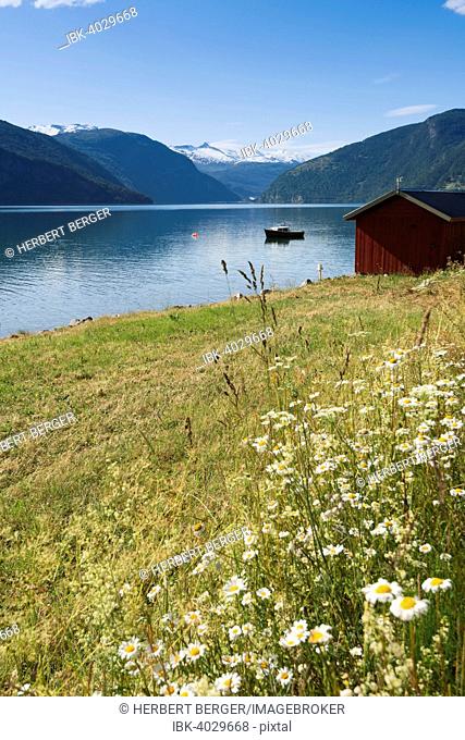 On Lustrafjord, Sogn og Fjordane, Norway