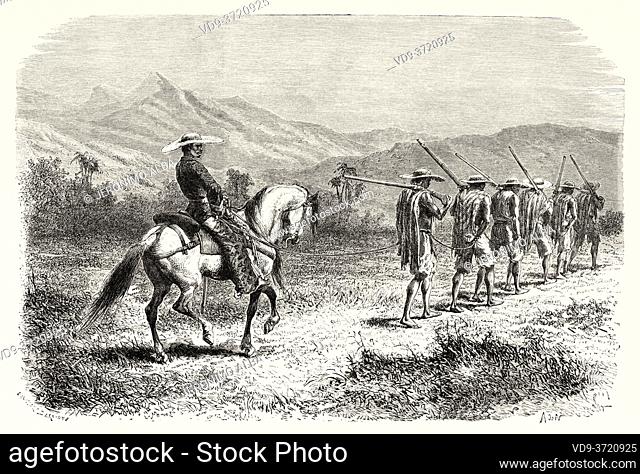 Volunteer soldiers from Cauca, Colombia. Old 19th century engraved illustration. Travel to New Granada by Charles Saffray from El Mundo en La Mano 1879
