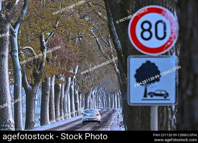 30 November 2023, Brandenburg, Petersdorf: A car drives along a snow-covered avenue in the Oder-Spree district in the east of Brandenburg