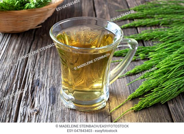 A cup of horsetail tea with fresh plant in the background