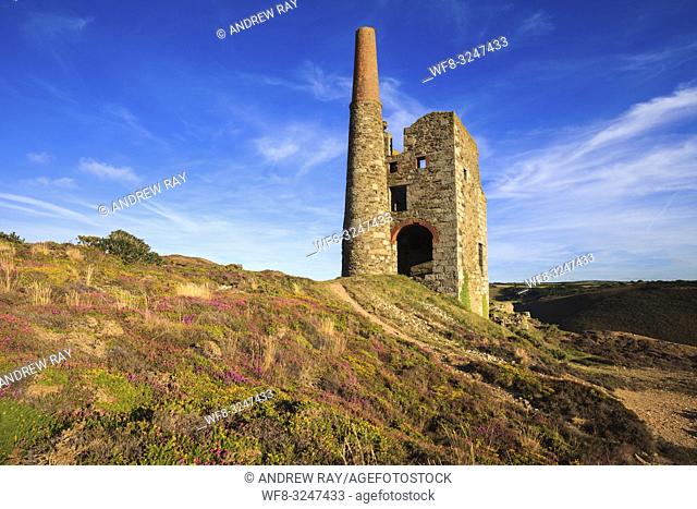 Tywarnhayle Engine House near Porthtowan in Cornwall, captured on an evening in late August when the heather was in bloom