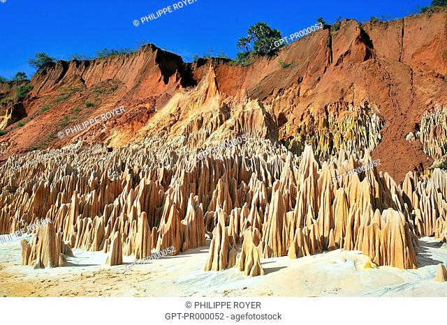 RED TSINGY OF IRODO, GEOLOGICAL FORMATIONS FROM EROSION, ALSO CALLED LIMESTONE PAVEMENT, ANKARANA PARK NEAR DIEGO SUAREZ, REPUBLIC OF MADAGASCAR