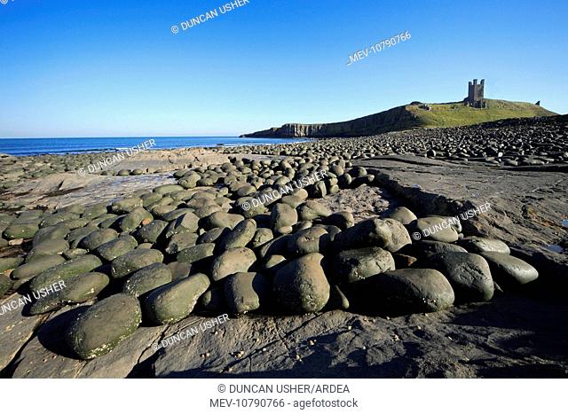 Dunstanburgh Castle - basalt boulder strewen beach, north of castle