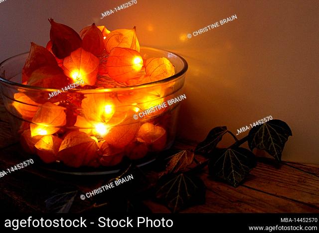 Decoration, bowl with lantern flowers, ivy, atmospheric, decorative