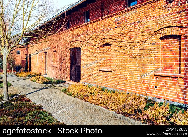 old red brick barn with wooden door surrounded by leafless vines