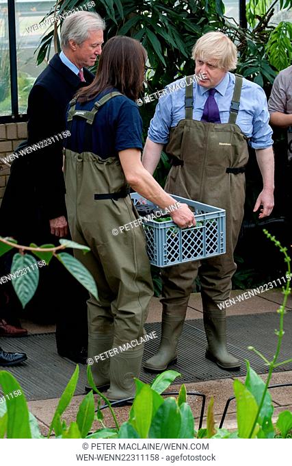 Boris Johnson, Mayor of London wears waders to plant Victoria Amazonica waterlilies, hybrid waterlilies and lotus plants at the Prince of Wales Conservatory in...