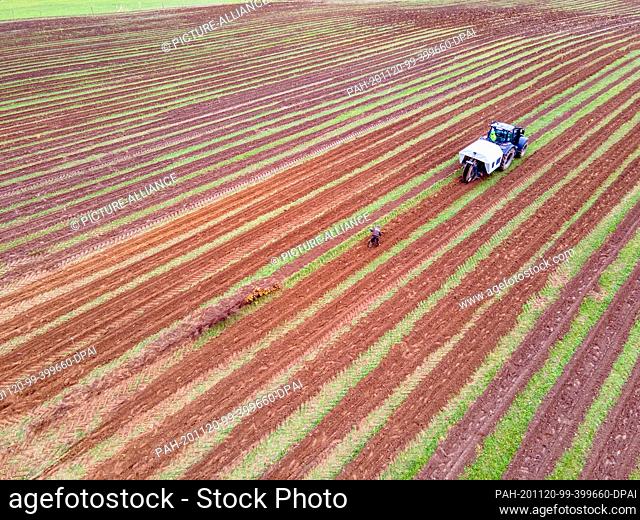 18 November 2020, Mecklenburg-Western Pomerania, Boitin: With a planting machine for young trees, employees of the Güstrower Garten-Landschafts- und...