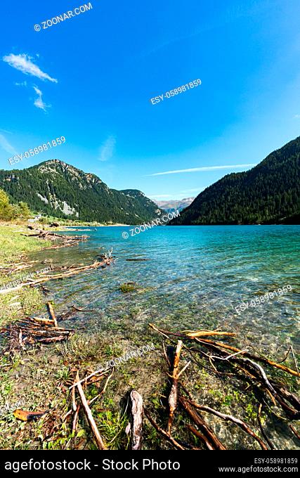idyllic and picturesque turquoise mountain lake surrounded by green forest and mountain peaks in the Swiss Alps with driftwood in the foreground