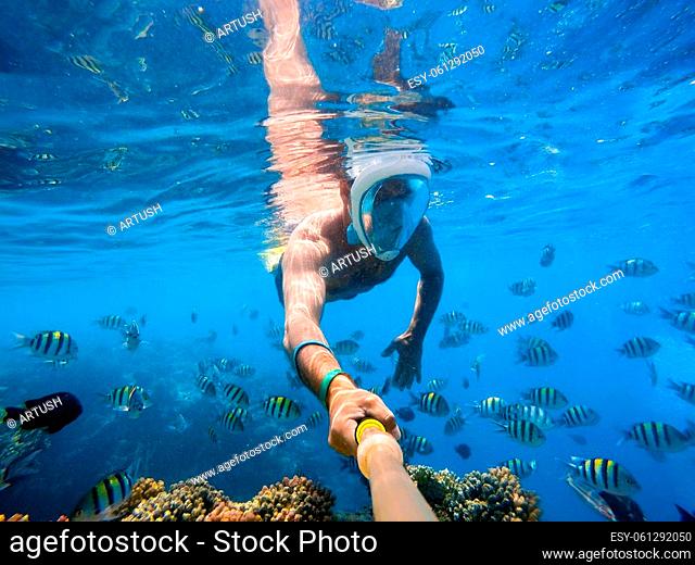 Snorkel swim in coral reef in red sea. Exotic tropics paradise with fish. Marsa alam, Egypt. Summer holiday vacation concept