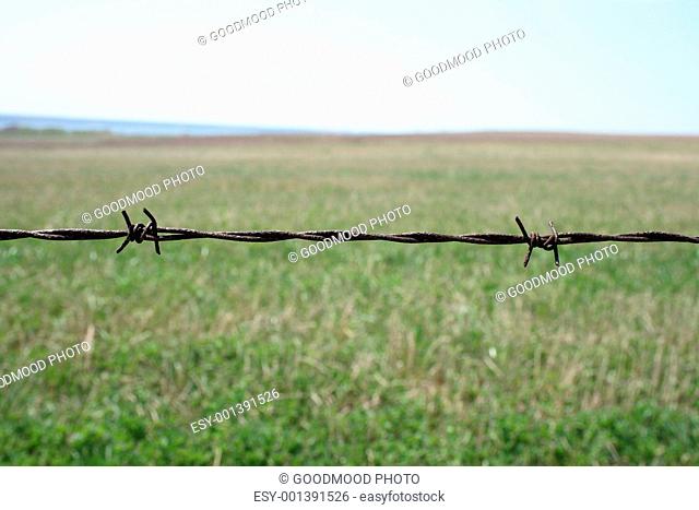 Rusty barbed wire fence detail