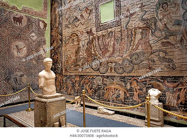 Algeria, Djemila City, Roman ruins of Djemila City, UNESCO, W.H. Djemilla Archeological Museum, Roman Mosaics