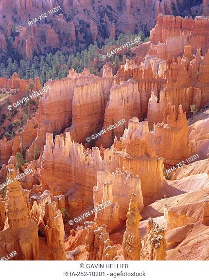 Rock Hoodoos from Sunset Point, Bryce Canyon National Park, Utah, USA, North America