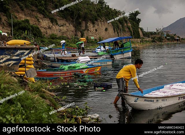 Fishermen load sacks of fish feeds on to small boats as the Taal volcano releases smoke and ash in Agoncillo town, Batangas province south of Manila