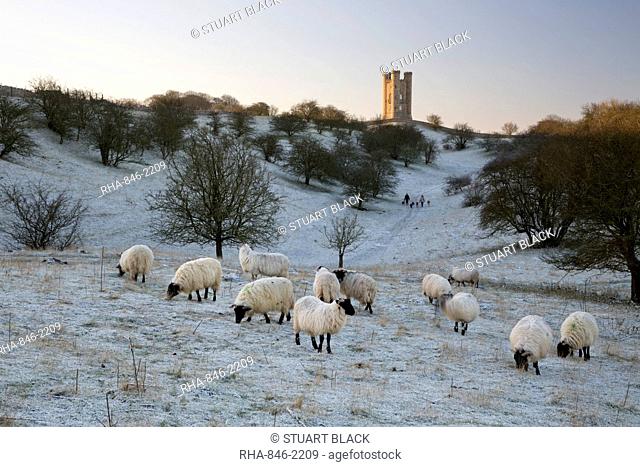 Broadway Tower and sheep in morning frost, Broadway, Cotswolds, Worcestershire, England, United Kingdom, Europe