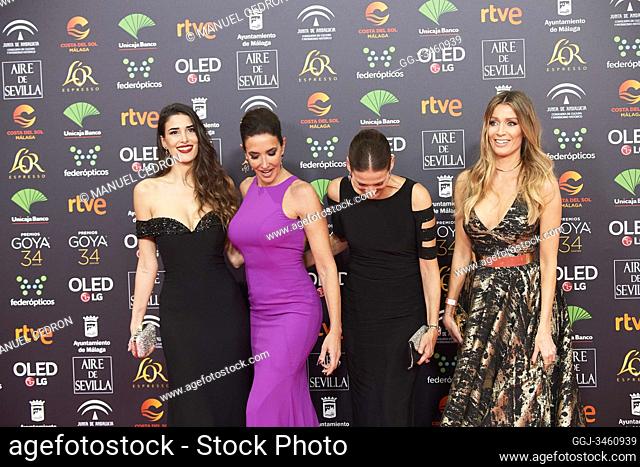 Elsa Anka, Lidia Torrent, Remedios Cervantes, Barbara Kimpel attends 34th Goya Cinema Awards 2020 - Red Carpet at Jose Maria Martin Carpena Stadium on January...
