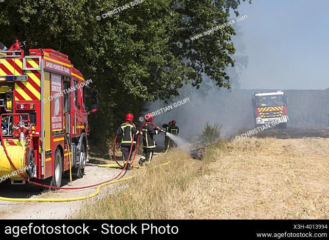 Firefighters extinguishing a stubble fire in a field already harvested, Eure-et-Loir department, Centre-Val-de-Loire region, France, Europe