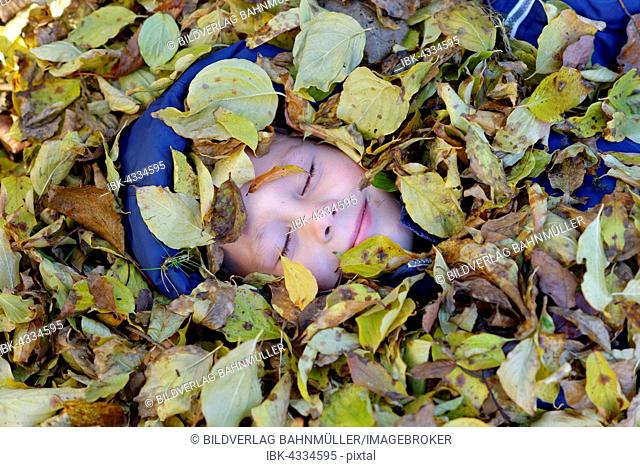Boy lying in autumn foliage, Bavaria, Germany