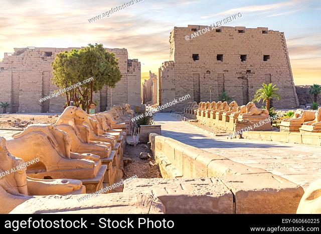 The King s Festivities Road or Avenue of Sphinxes, ram-headed statues of Karnak Temple, Luxor, Egypt