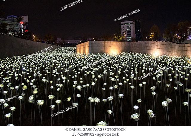 Dongdaemun Design Plaza Ddp At Seoul Stock Photo Picture And Rights Managed Image Pic Z5p 2588102 Agefotostock - Ddp White Rose Garden Seoul