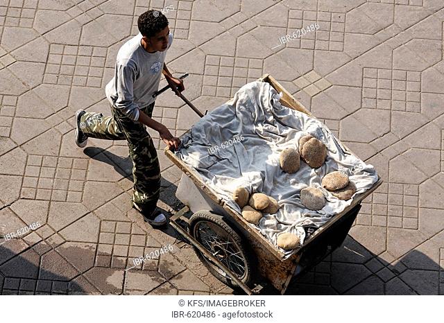 Young man pushing cart loaded with flat bread, Djemaa el Fna, Marrakech, Morocco, Africa