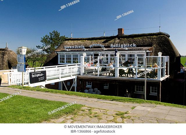 Restaurant and beachside coffeehouse Halligblick, Norderhafen harbor, Nordstrand island, Schleswig-Holstein, Germany, Europe