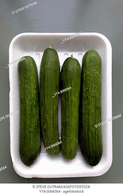 Carton of Biologically grown Cucumbers from a local Greengrocers, Crete, Greece