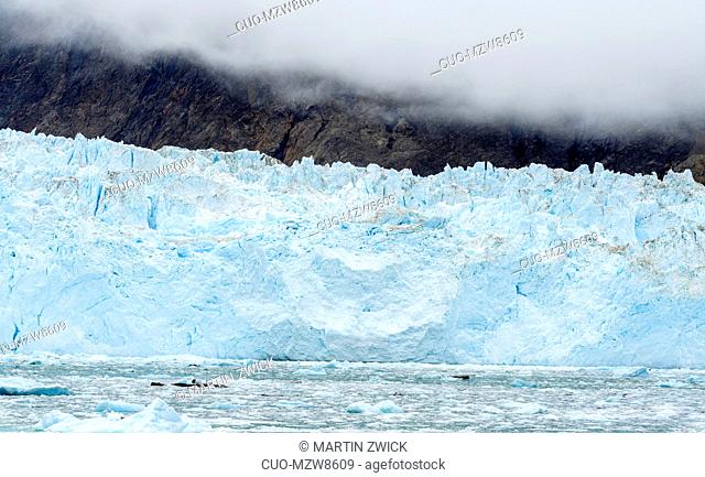 Eqip Glacier (Eqip Sermia or Eqi Glacier) in Greenland. , Polar Regions, Denmark, August