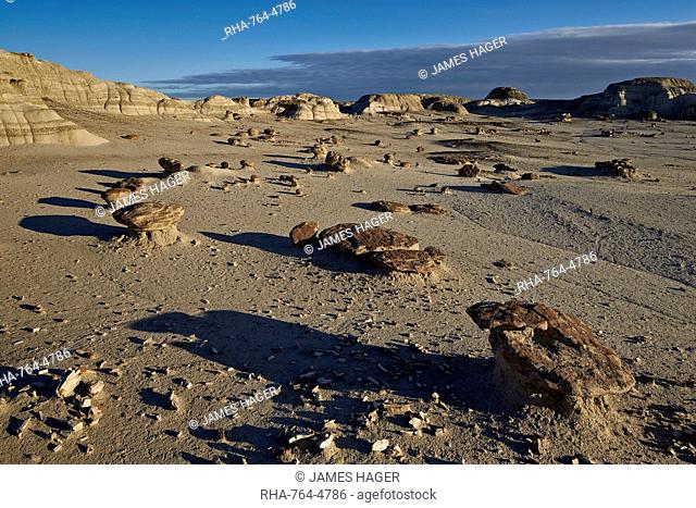 Rocks in the badlands, Bisti Wilderness, New Mexico, United States of America, North America
