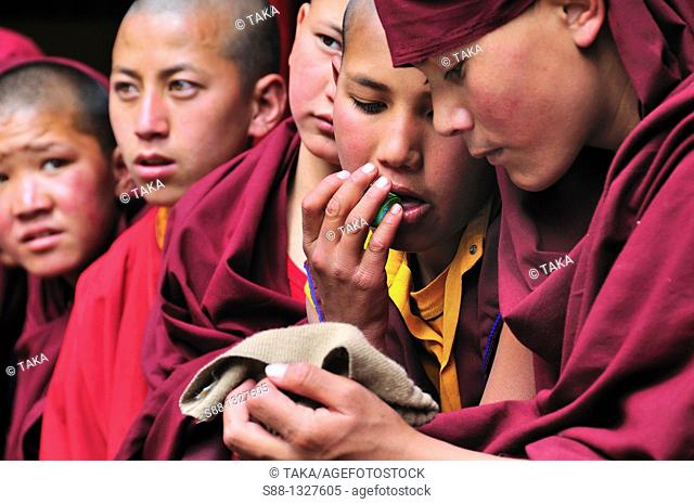 Buddhist young monk during Chaam Musk Dance fastival at Hemis Gompa. Jammu and Kashmir, India